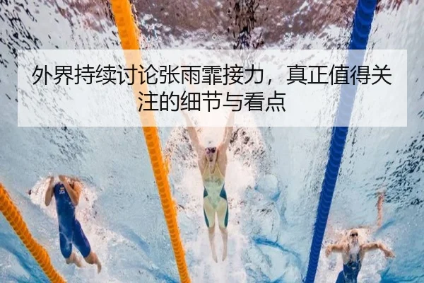 wai-jie-chi-xu-tao-lun-zhang-yu-fei-jie-li-zhen-zheng-zhi-de-guan-zhu-de-xi-jie-yu-kan-dian-2-126.jpg